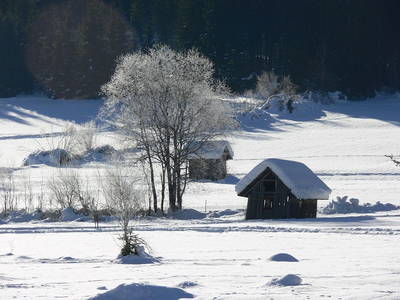 Bild 47 aus  Pfeiferhof