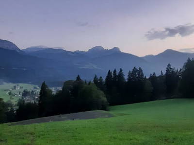 Bild 49 aus  Freihof  Fam. Tillian