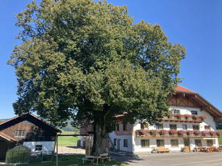 Biohof Feichtinger aus Zell am Moos