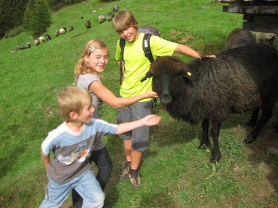 Bild 46 aus  Jörgleggerhof