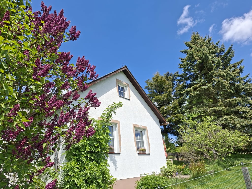 Ferienhaus Plessberg