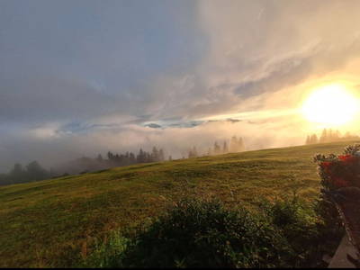 Bild 23 aus  Schoberhütte