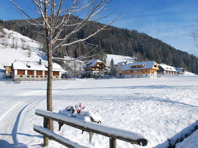 Bild 79 aus  Biohof Seidl