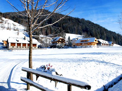 Bild 37 aus Biohof Seidl