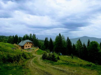 Bild 111 aus  Almchalet Nikola