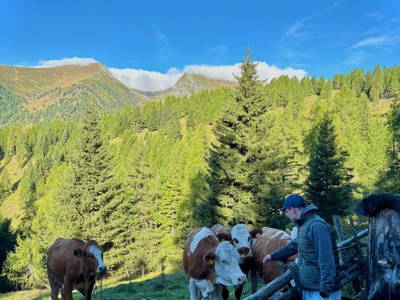 Bild 22 aus  Dreicharhütte