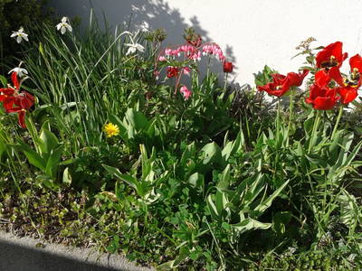 Bild 21 aus  Peinbauerhof