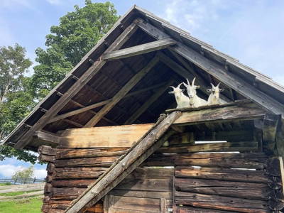 Bild 65 aus  Hirzhof