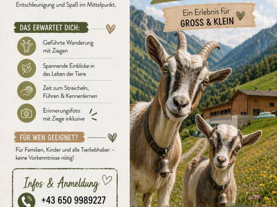 Ziegenwanderungen