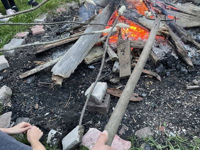 Bild 24 aus  Hirzhof