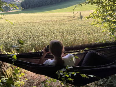 Bild 24 aus  Sommerfrische Edt - Nostalgiehof - leben wie damals