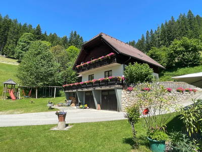 Bild 6 aus  Hanslgrabner