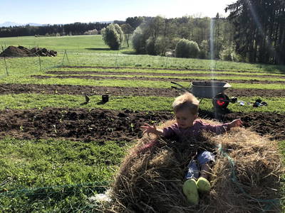 Bild 45 aus  Wastlbauer 