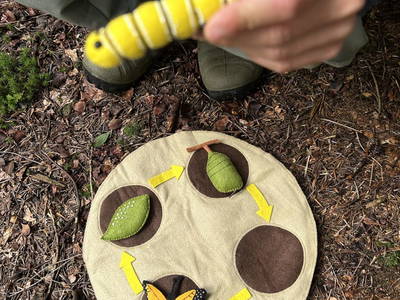 Bild 163 aus  Naturhof Innauer