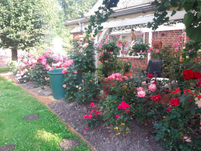 Bild 15 aus  Ferienhof Maaß