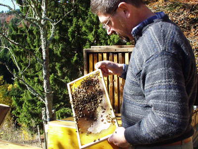 Bild 49 aus  Haus Linda