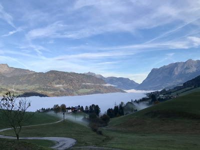 Bild 37 aus  Bio Schartenhof