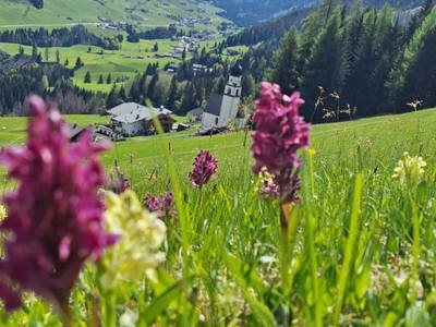 Bild 10 aus Neuhauserhof