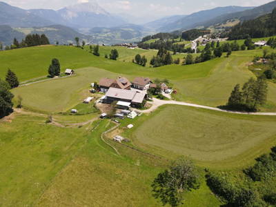 Bild 62 aus  Hirzhof