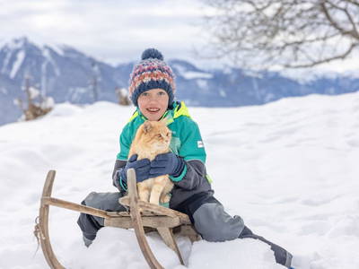 Bild 42 aus  Tom's Alpenhütte