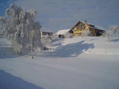 Bild 81 aus  Biohof Heidegger