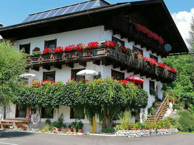 Bild 2 aus  Biohof Gschwandt