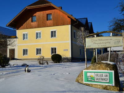 Bild 125 aus  Obergrafenberger