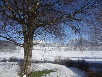 Bild 247 aus  Stanglhof