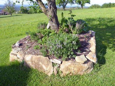 Bild 8 aus  Vitalbauernhof Zulehen