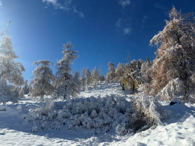 Bild 76 aus  Demobetrieb Bauernhof