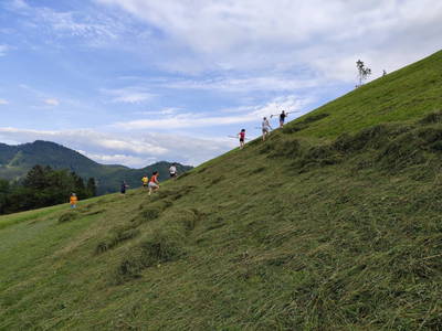 Bild 55 aus  Ferienhof Rabenreith