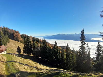 Bild 82 aus  Tröbacheralm Hütte & Göriacheralm Hütte 