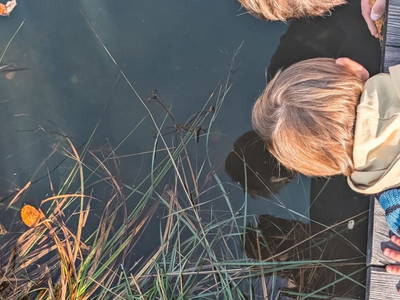 Bild 147 aus  Sank Haus - Alte Mühle