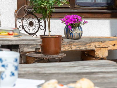Bild 19 aus Reiterhof Suassbauer