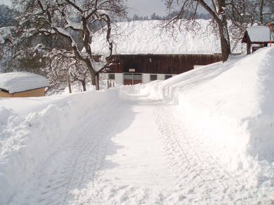 Bild 39 aus  Höllmühle