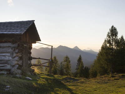 Bild 84 aus  Stembergerhof