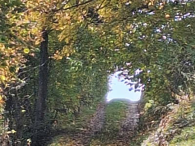 Bild 18 aus Naturpark Bauernhof Sperl