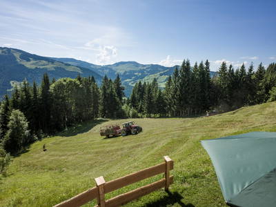 Bild 32 aus  Almhütte Kohlenau