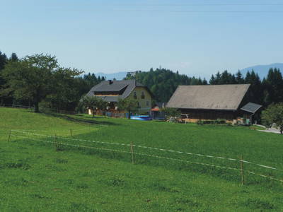 Bild 14 aus  Wutti Mikulhof