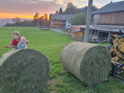Bild 73 aus  Familie Nußbaumer 