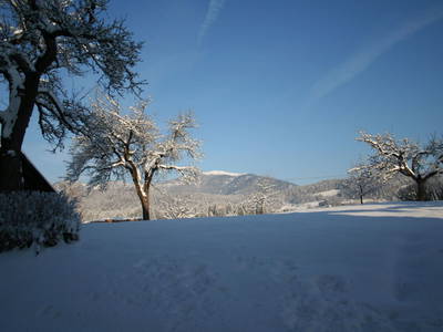 Bild 40 aus  Bauerborchardt - Urlaub am Bauernhof bei Familie Borchardt