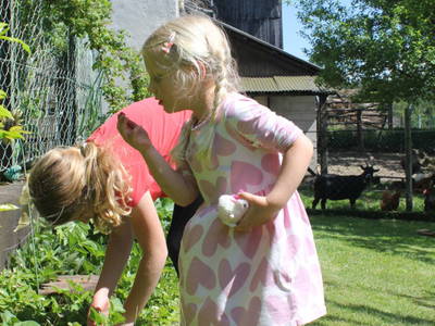 Bild 53 aus Roschusterhof