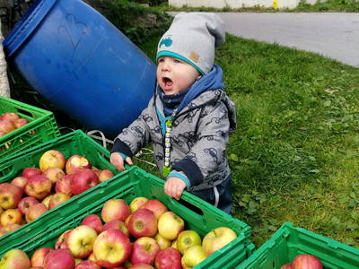 Bild 46 aus  Anderlbauer