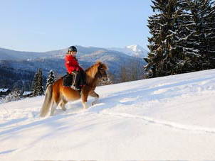 Bild 29 aus  Hochgallinger Hof  - Der Reiterhof  für Groß und  Klein
