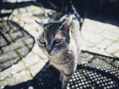 Bild 10 aus  Ferienhof Gut Ummersberg