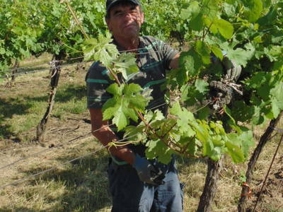 Bild 51 aus  Schmankerl und Gast Heiderer