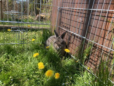 Bild 89 aus  Familie Nußbaumer 