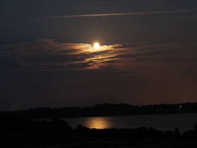 Bild 19 aus  Gestüt Hof am See