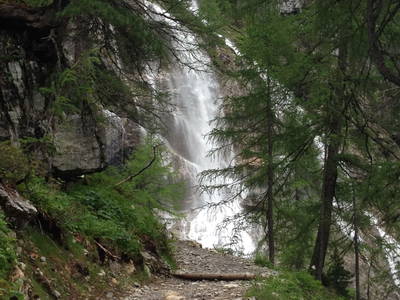 Bild 82 aus  Taxengut