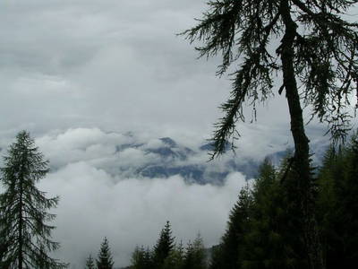 Bild 177 aus  Bacherhof